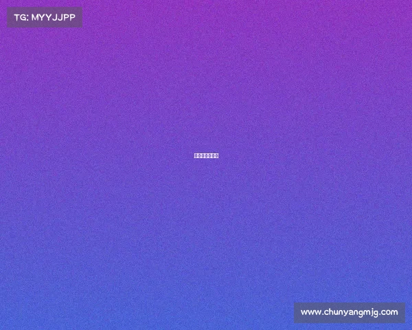 世纪杯什么时候