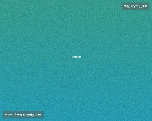 比利时比赛战绩