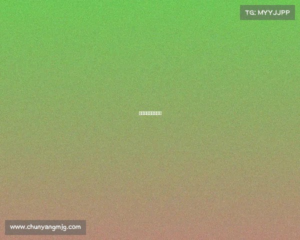 斯巴达赛事报名条件