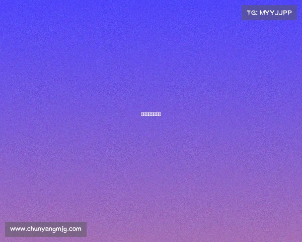 世界女排最新战况