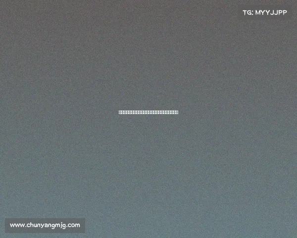 沈阳散打联盟赛事激情开赛各路高手巅峰对决精彩无限